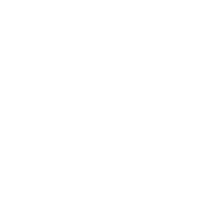 Papillon Ads logo