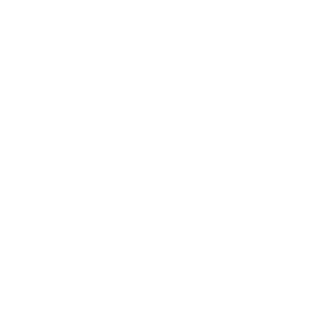 Triumf Invest logo