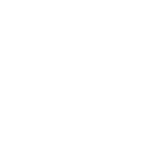 Level Luxury Suites logo