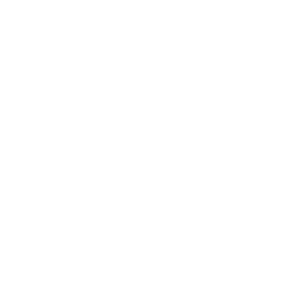 Gepetto logo